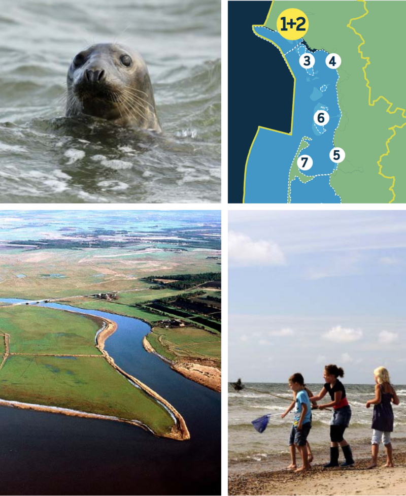 Compilation of a map of the Danish Wadden Sea and three pictures: seal sticking head out of water, aerial of estuary with green areas and settlements/ infrastructure on sides, group of children on beachy shore.